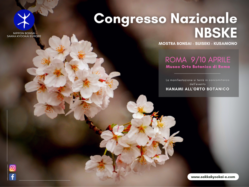 NBSKE hanami - banner