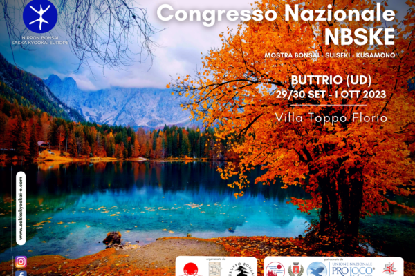 NBSKE Congresso NBSKE - banner