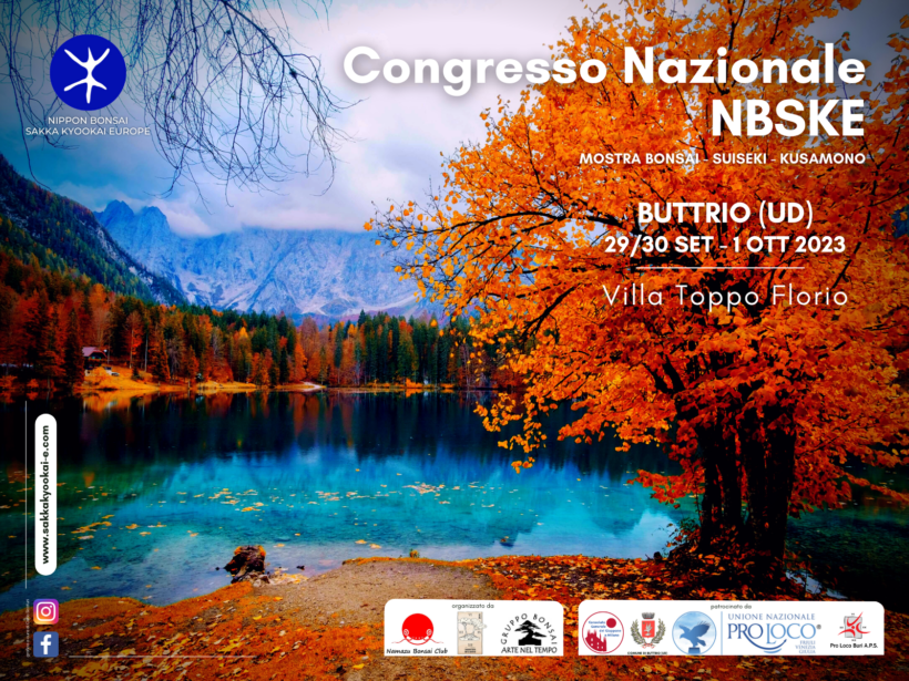 NBSKE Congresso NBSKE - banner