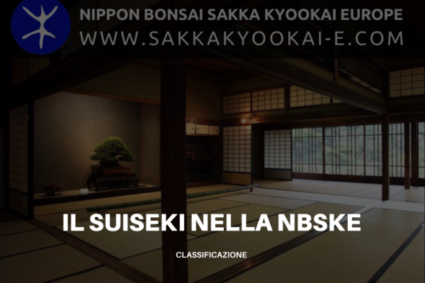 Il suiseki nella NBSKE - classificazione
