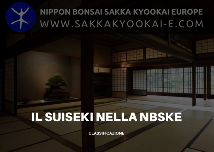 Il suiseki nella NBSKE - classificazione